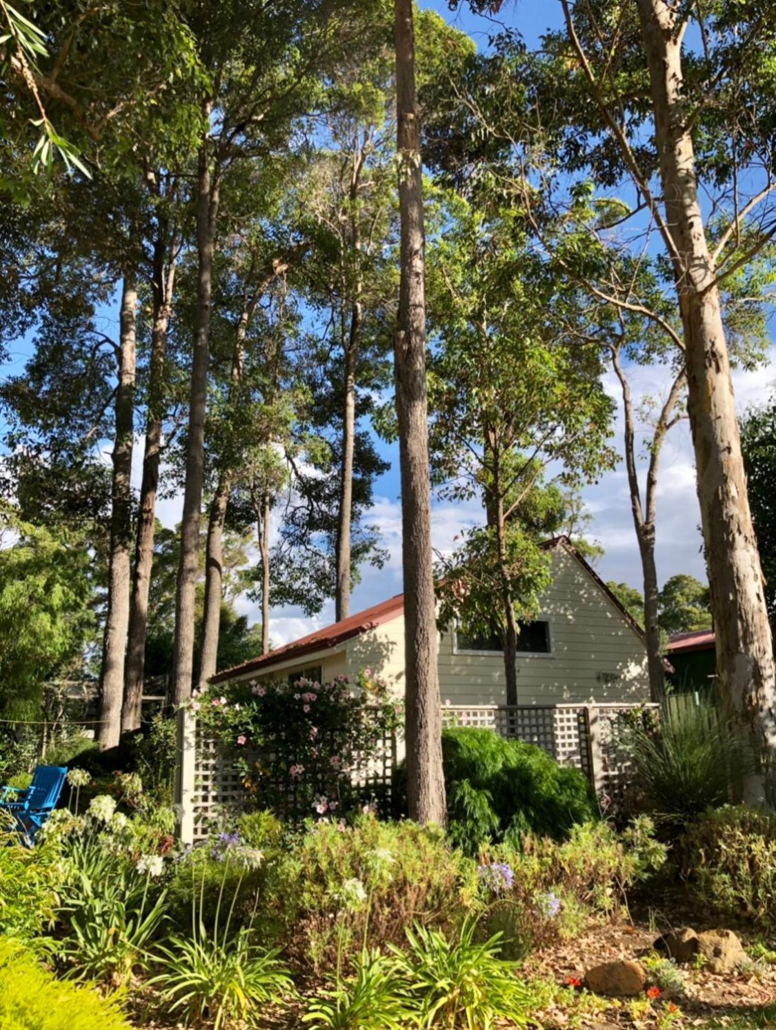 The Boulevard Garden Studio Daire Margaret River Dış mekan fotoğraf